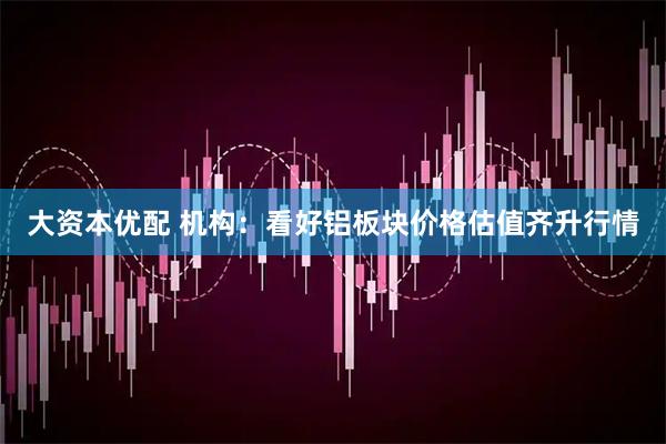大资本优配 机构：看好铝板块价格估值齐升行情