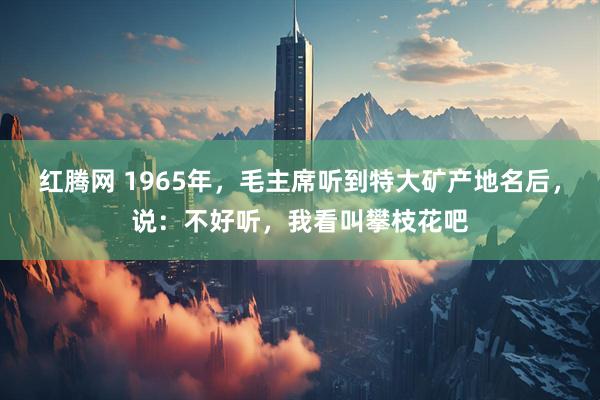 红腾网 1965年，毛主席听到特大矿产地名后，说：不好听，我看叫攀枝花吧
