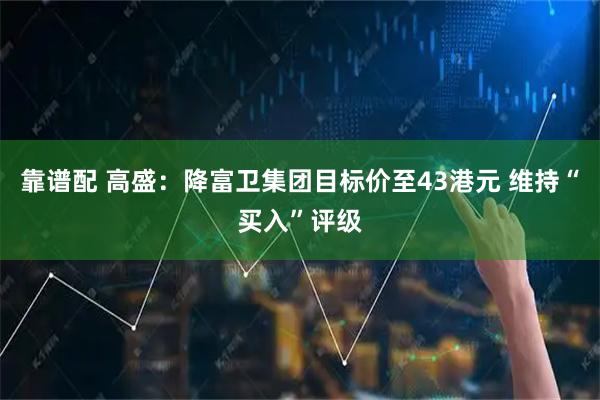 靠谱配 高盛：降富卫集团目标价至43港元 维持“买入”评级