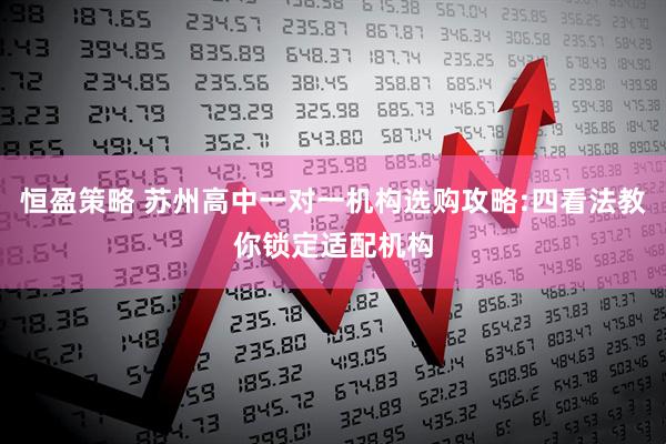 恒盈策略 苏州高中一对一机构选购攻略:四看法教你锁定适配机构