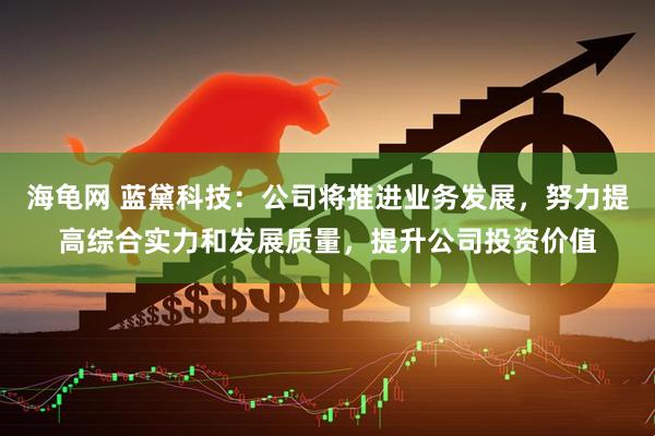 海龟网 蓝黛科技：公司将推进业务发展，努力提高综合实力和发展质量，提升公司投资价值