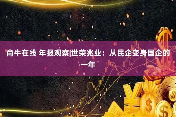 尚牛在线 年报观察|世荣兆业：从民企变身国企的一年