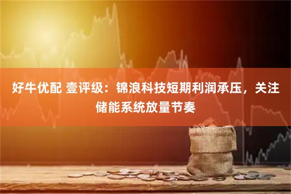 好牛优配 壹评级：锦浪科技短期利润承压，关注储能系统放量节奏