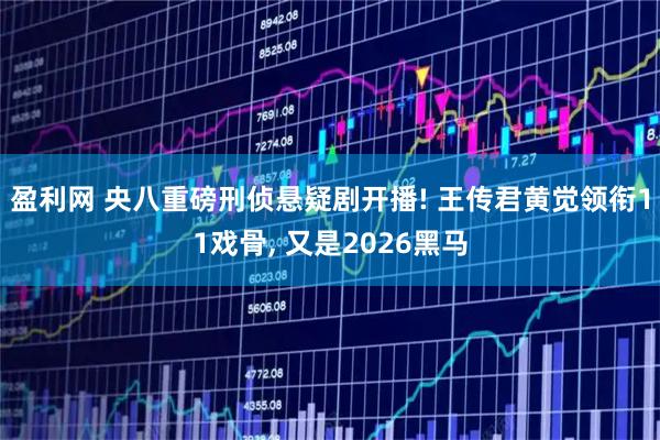 盈利网 央八重磅刑侦悬疑剧开播! 王传君黄觉领衔11戏骨, 又是2026黑马