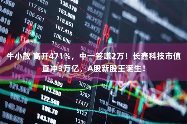 牛小散 高开471%，中一签赚2万！长鑫科技市值直冲3万亿，A股新股王诞生！