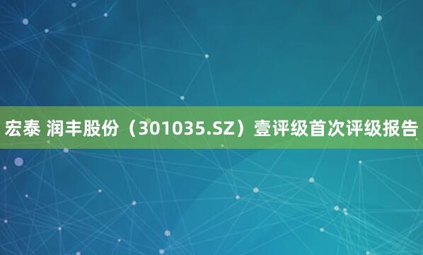 宏泰 润丰股份(301035.SZ)壹评级首次评级报告