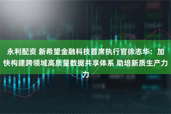 永利配资 新希望金融科技首席执行官徐志华：加快构建跨领域高质量数据共享体系 助培新质生产力