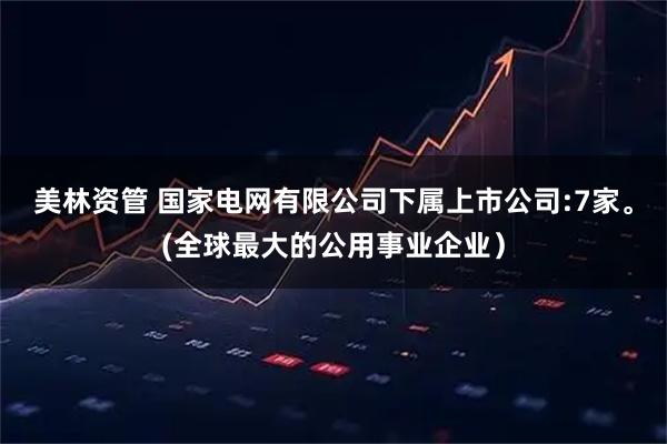 美林资管 国家电网有限公司下属上市公司:7家。(全球最大的公用事业企业）