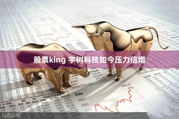 股票king 宇树科技如今压力倍增
