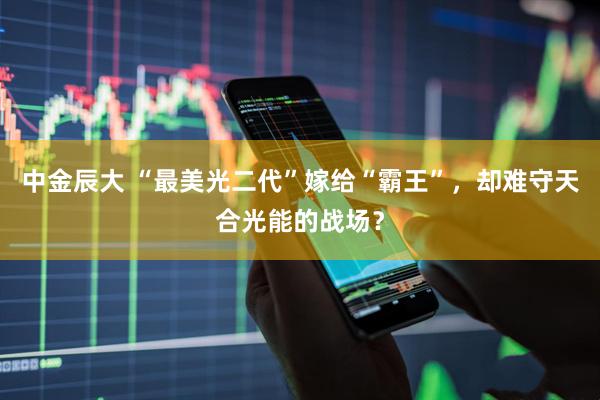 中金辰大 “最美光二代”嫁给“霸王”，却难守天合光能的战场？