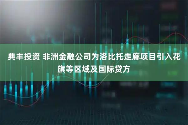 典丰投资 非洲金融公司为洛比托走廊项目引入花旗等区域及国际贷方