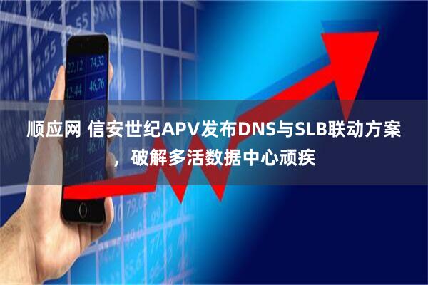 顺应网 信安世纪APV发布DNS与SLB联动方案，破解多活数据中心顽疾
