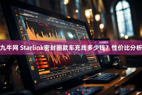 九牛网 Starlink密封圈款车充线多少钱？性价比分析