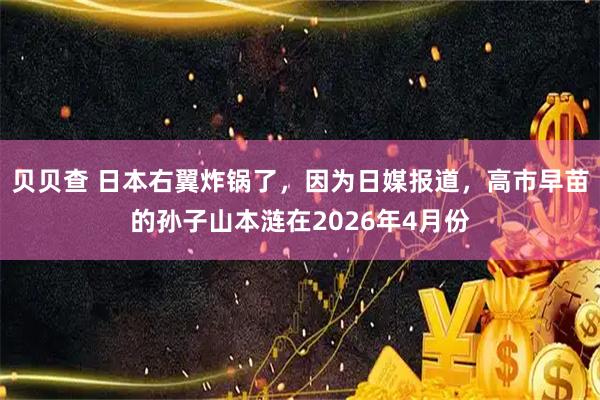 贝贝查 日本右翼炸锅了，因为日媒报道，高市早苗的孙子山本涟在2026年4月份