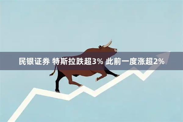 民银证券 特斯拉跌超3% 此前一度涨超2%