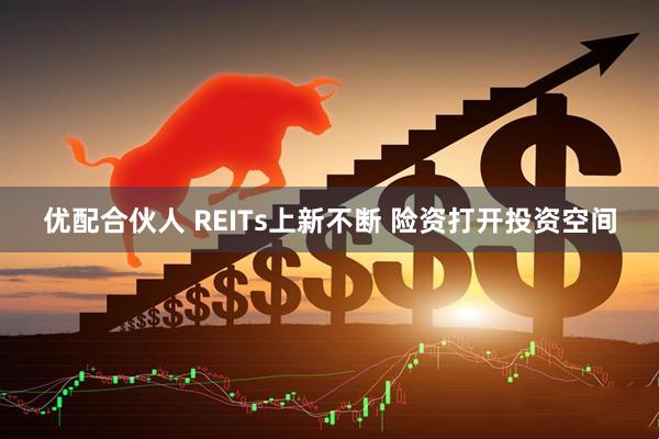 优配合伙人 REITs上新不断 险资打开投资空间