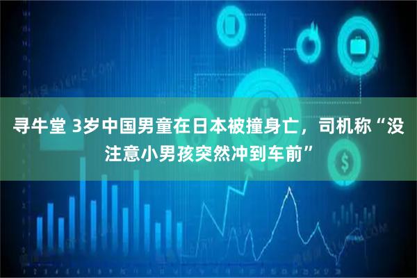 寻牛堂 3岁中国男童在日本被撞身亡，司机称“没注意小男孩突然冲到车前”